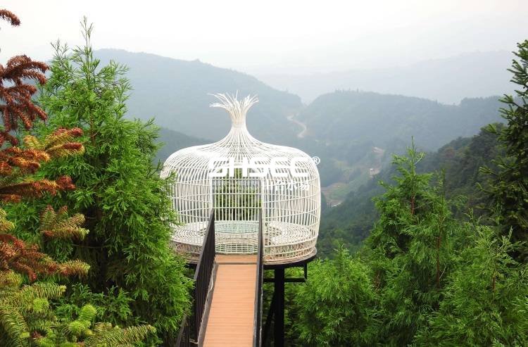 康养地产趋势