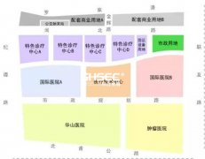 康养产业案例分析:上海新虹桥国际医学中心